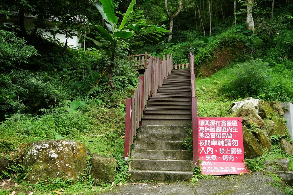 南投小半天銀杏森林 德興瀑布 大崙山觀景台 武岫休閒農場 竹炭窯cas竹炭林產品 Amanda生活美食料理